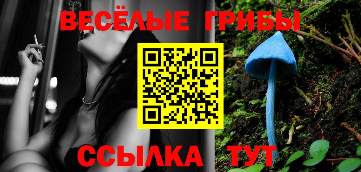 Королёв  Псилоцибиновые грибы прущие грибы  Вход с VPN 