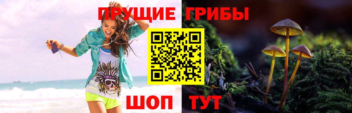 Галлюциногенные грибы ЛСД Королёв